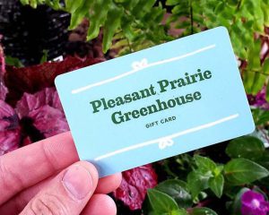 hand holding gift card that reads, "Pleasant Prairie Greenhouse gift card"