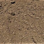 close up of topsoil