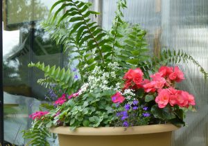 beige planter with pink. purple, and white flowers