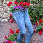 flowers growing out of pair of jeans